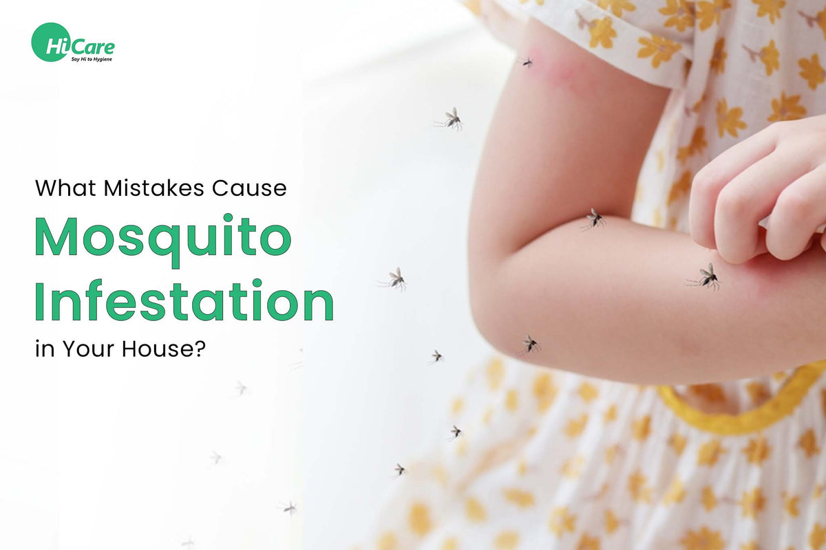 Infested House 5 Mistakes that Cause Mosquito Infestation in Your House | HiCare ...