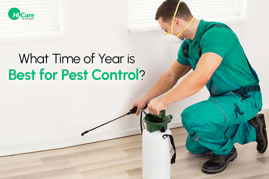 What Time of Year is Best for Pest Control?