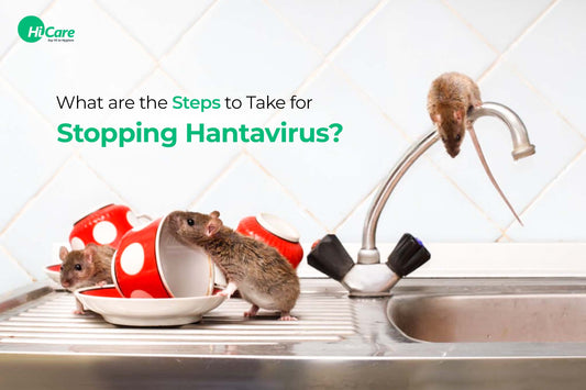 What are the Steps to Take for Stopping Hantavirus?