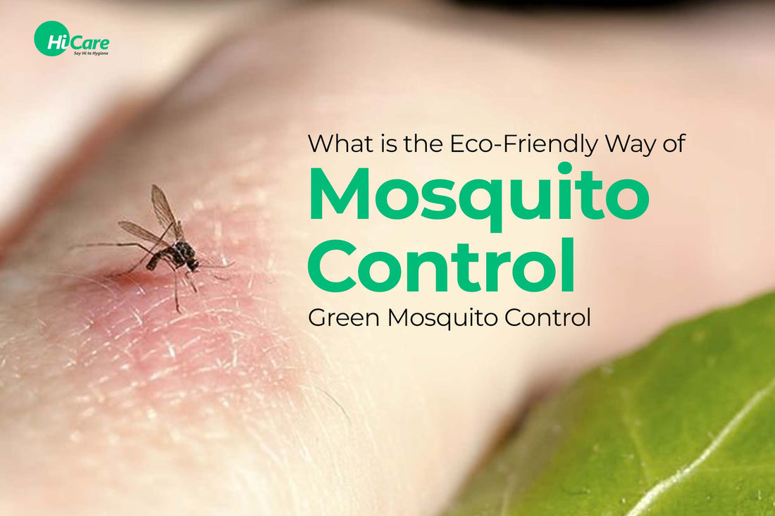What is the Eco-Friendly Way of Mosquito Control - Green Mosquito Control