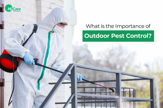 What is the Importance of Outdoor Pest Control?