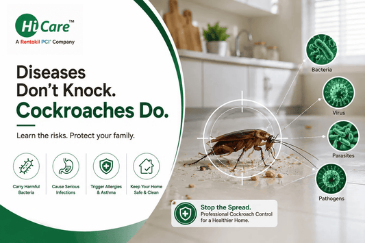 What are the Common Symptoms of Dengue During Monsoon?