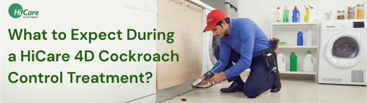 What to Expect During a HiCare 4D Cockroach Control Treatment