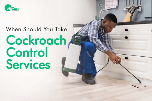 When Should You Take Cockroach Control Services | HiCare