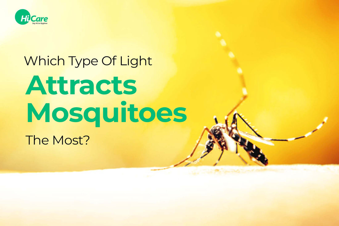 Which Type of Light Attracts Mosquitoes the Most?