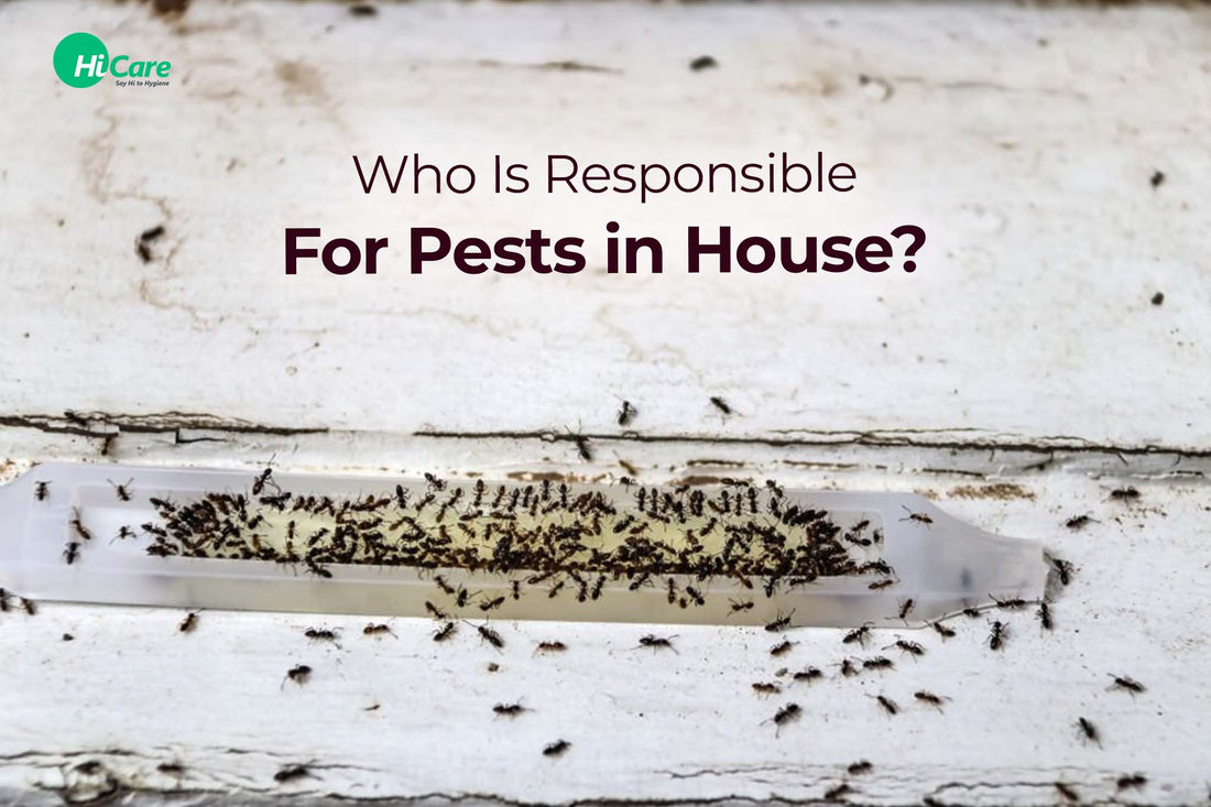 Who Is Responsible For Pests in House?