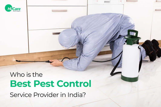 Who is the Best Pest Control Service Provider in India?