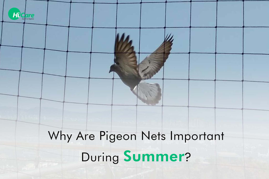 Why are Pigeon Nets Important during Summer?