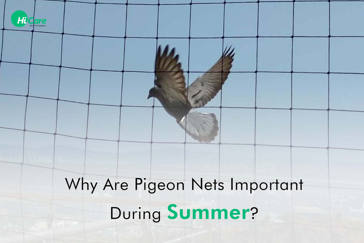 Bird Netting: Everything about Pigeon Netting for Balconies – HiCare (A ...