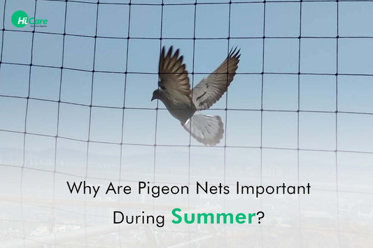 Why are Pigeon Nets Important during Summer?