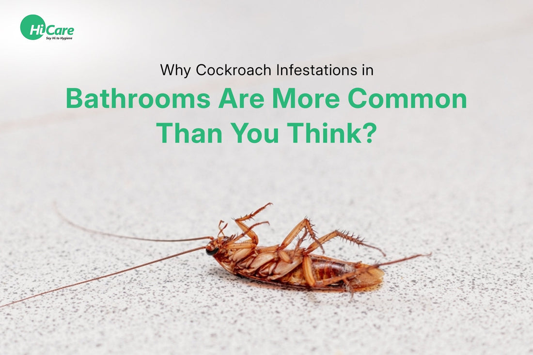 Why Cockroach Infestations in Bathrooms Are More Common Than You Think?
