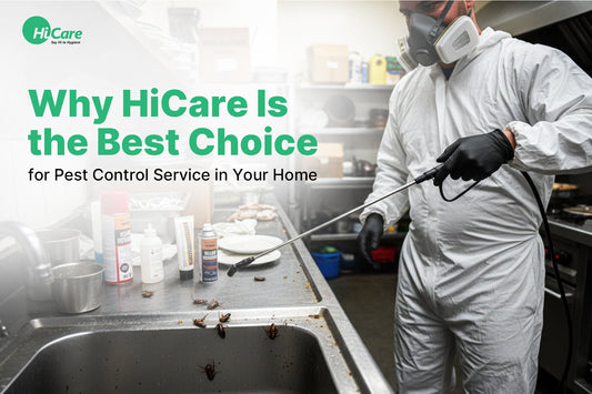 Why HiCare Is the Best Choice for Pest Control Service in Your Home?