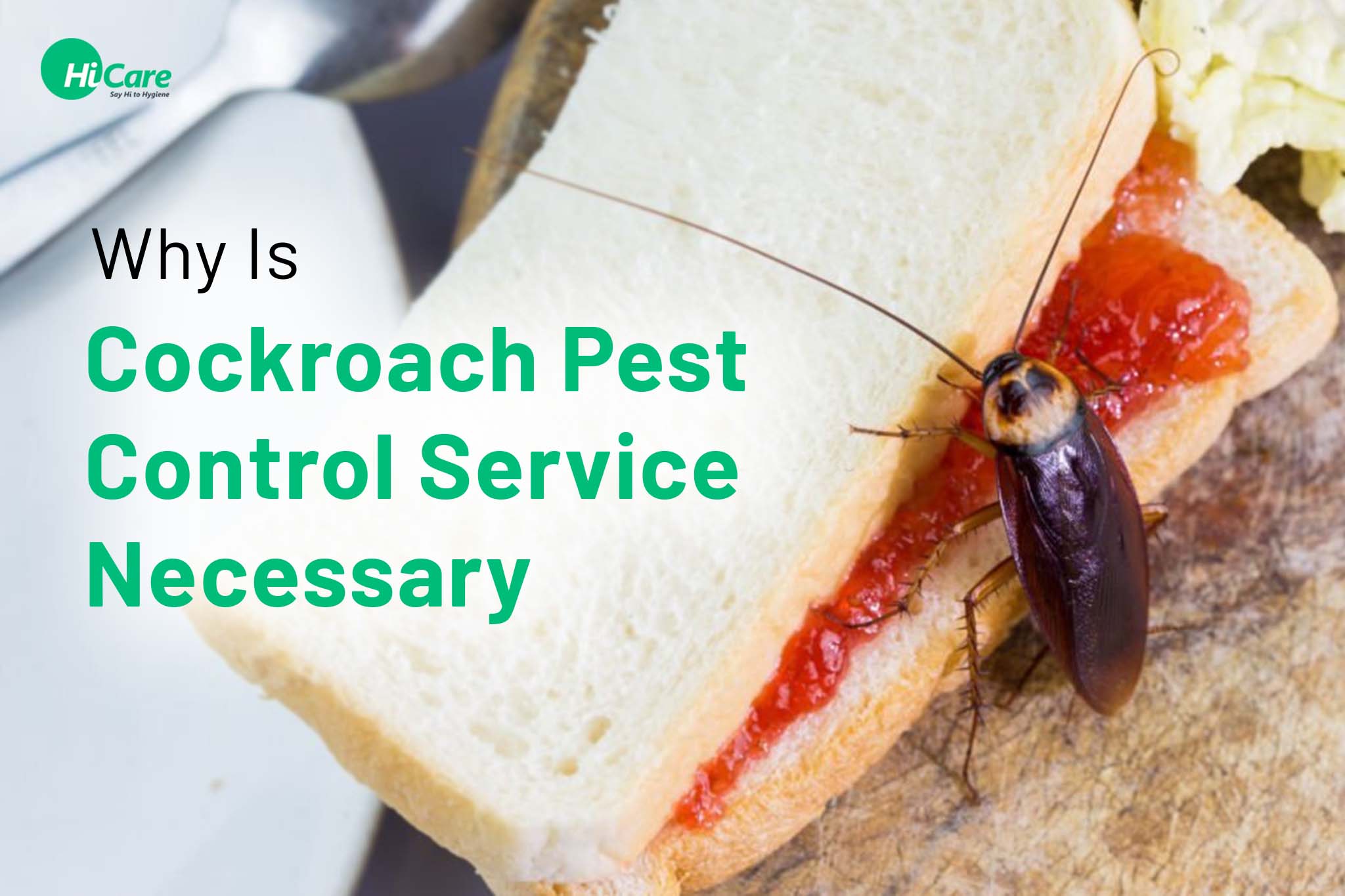 Photo inspiration: Exterior Cockroach Control Services Reference: Importance Of Cockroach Pest Control Service