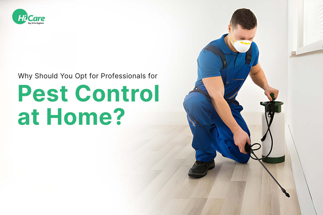 Why Should You Opt for Professionals for Pest Control at Home?