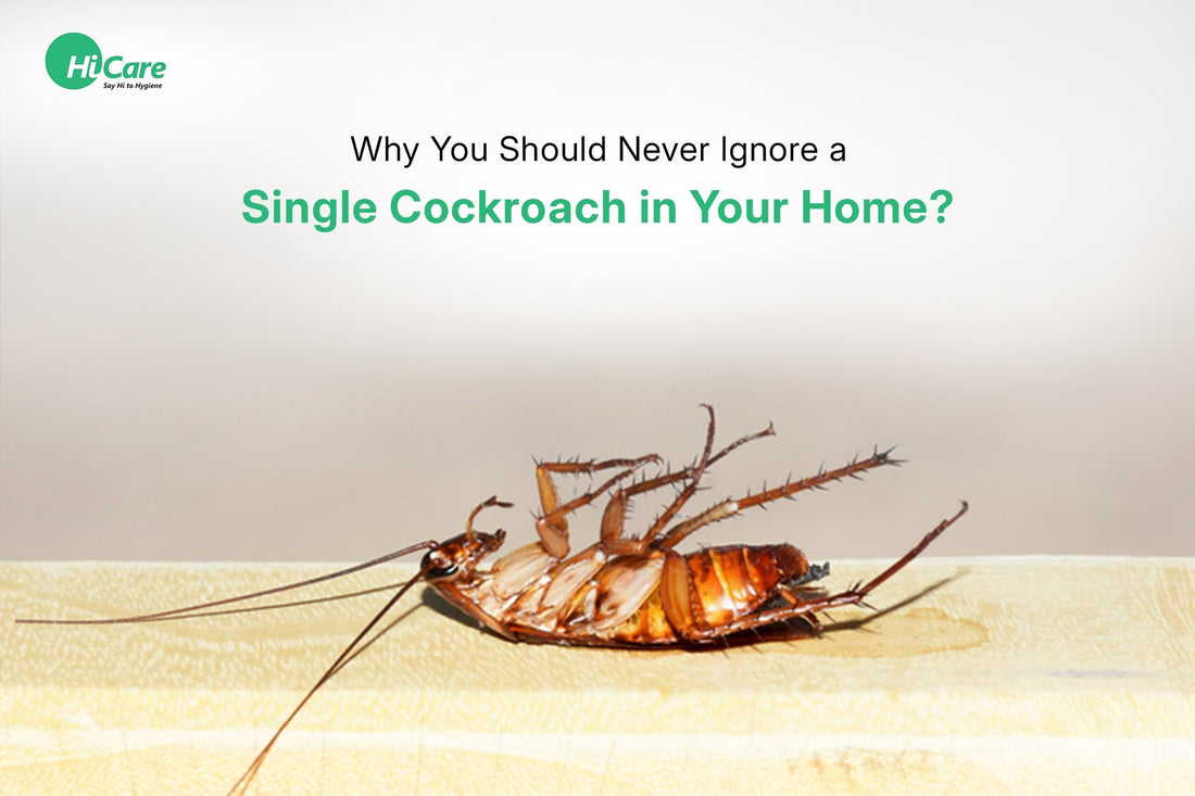 Why You Should Never Ignore a Single Cockroach in Your Home?