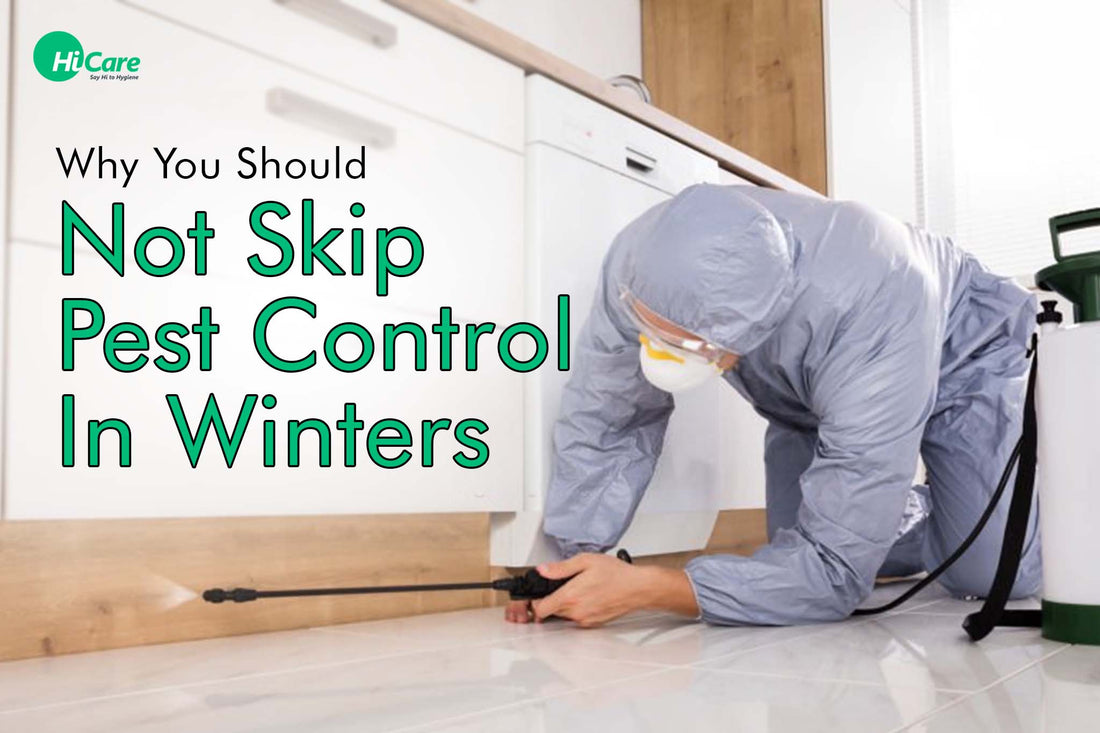 Why You Should Not Skip Pest Control In Winters