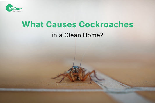 What Causes Cockroaches in a Clean Home?