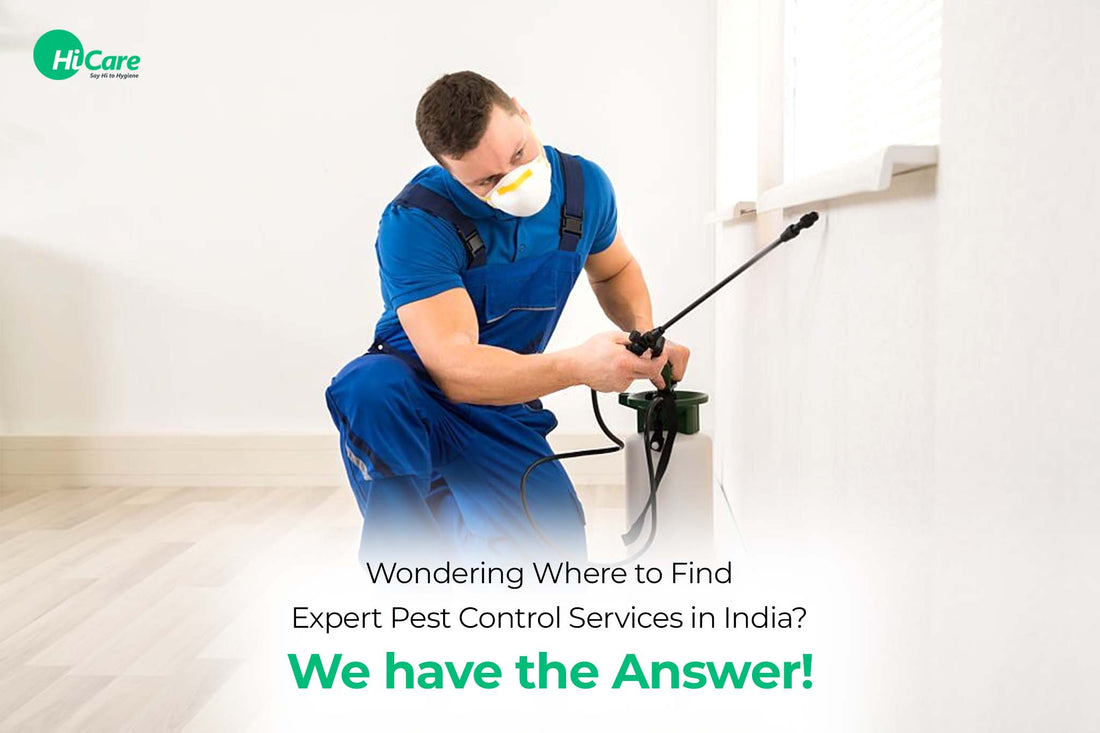 Wondering Where to Find Expert Pest Control Services in India? We have the Answer!