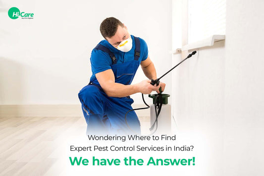 Wondering Where to Find Expert Pest Control Services in India? We have the Answer!