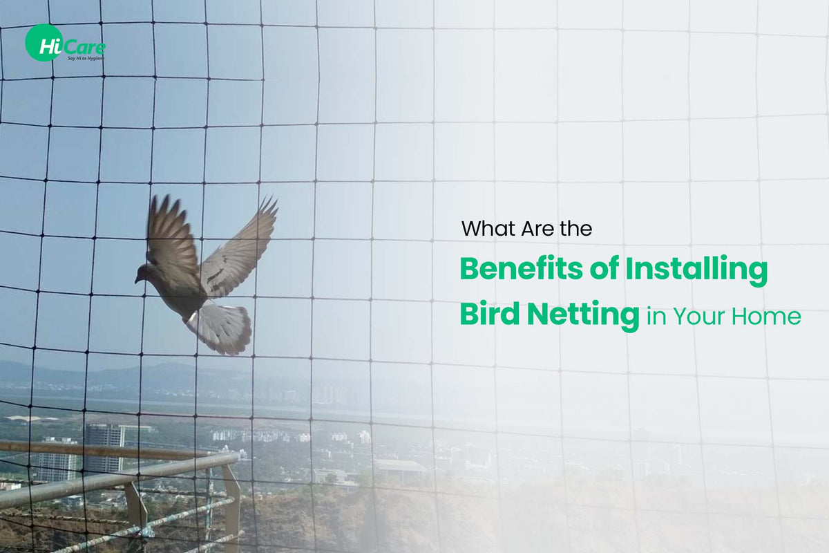6 Amazing Benefits of Installing Bird Netting in Your Home – HiCare (A ...