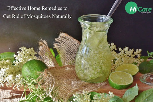 18 Best Home Remedies for Mosquitoes You Must Try