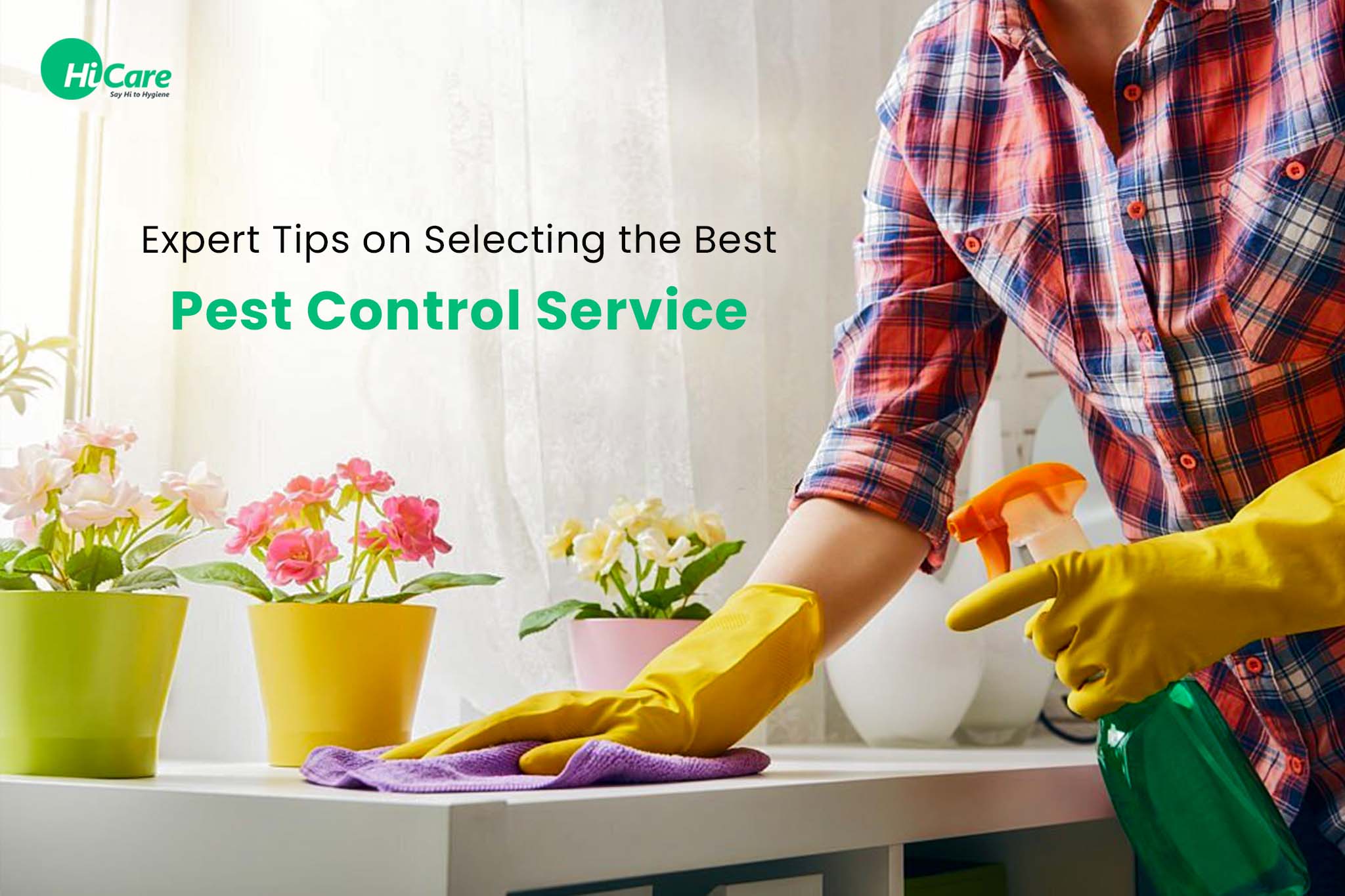 10 Best Tips to Select Best Pest Control Service Near You | HiCare ...