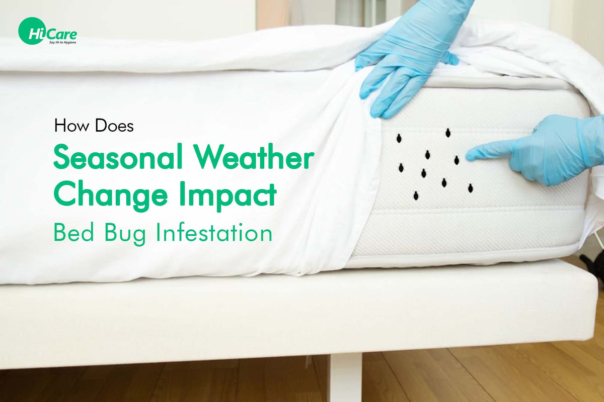 Bed Bug Infestation: Know How Weather Change Can Impact Pest ...