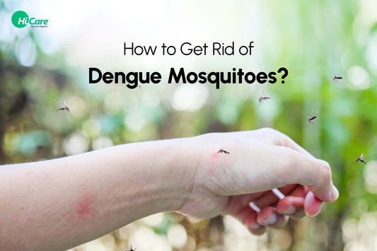How to Get Rid of Dengue Mosquitoes: Know Causes, Symptoms & Prevention Tips