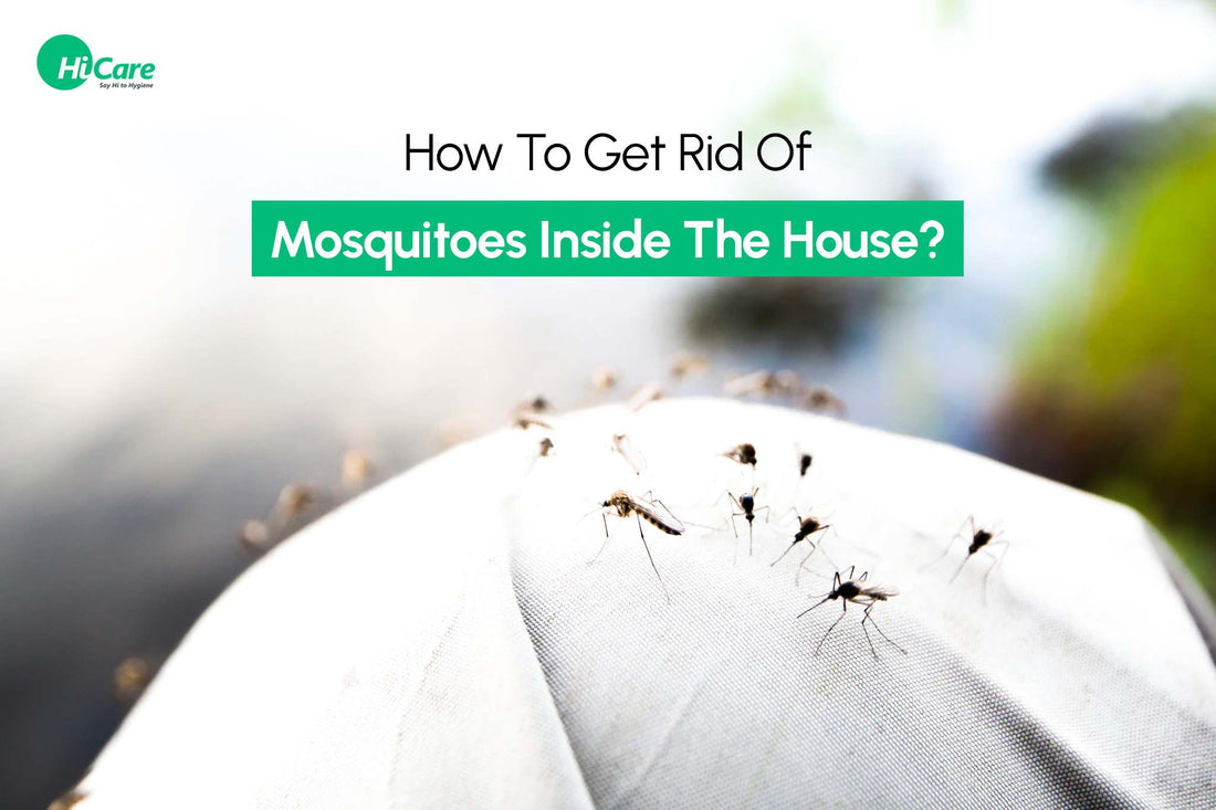 How To Get Rid Of Mosquitoes Inside The House? 25 Tips