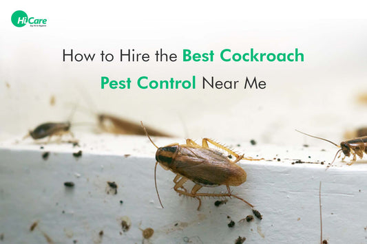 How to Hire the Best Cockroach Pest Control Near Me?
