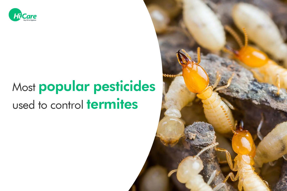 Most Popular Pesticides Used to Control Termites in India