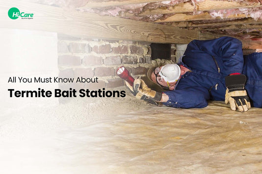 All You Must Know About Termite Bait Stations