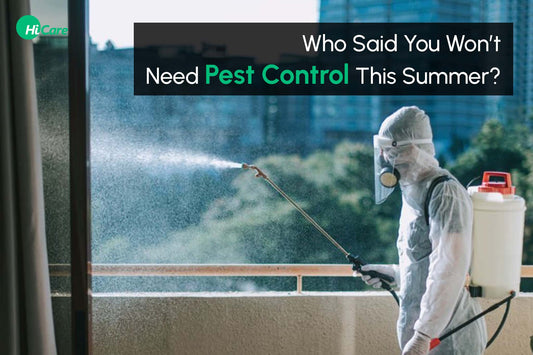Who Said You Won't Need Pest Control This Summer?