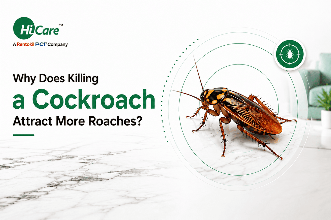 cockroach control service for home