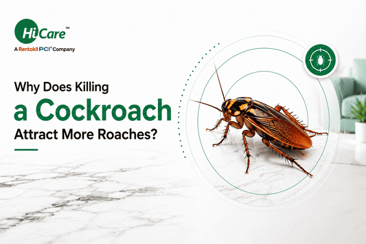 cockroach control service for home