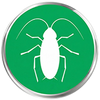 Cockroach icon