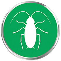 Cockroach Residential