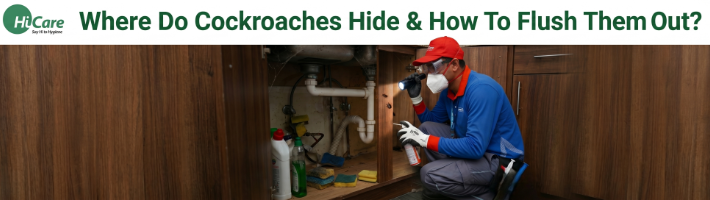 Where Do Cockroaches Hide & How to Flush Them Out?