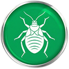Bed Bugs icon
