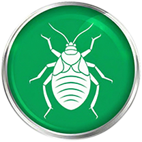 Bed Bug Commercial