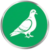 Bird Pro icon