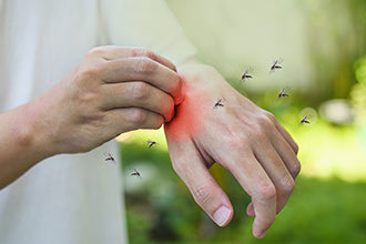 Mosquitos