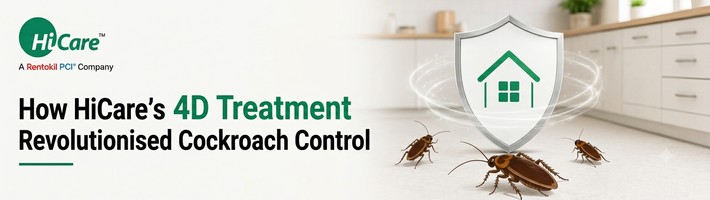 How HiCare's 4D Treatment Revolutionised Cockroach Control