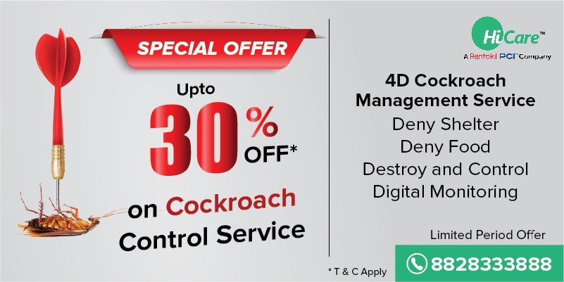 4D Cockroach Control and Ant Control