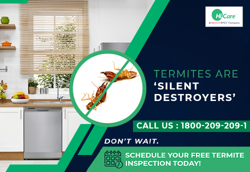 Termite - 1 Yr Warranty