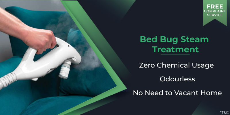 Bed bug Control – Steam Treatment