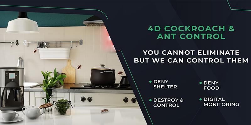 4D Cockroach Control and Ant Control