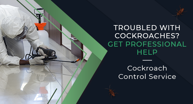 Standard Cockroach Control 