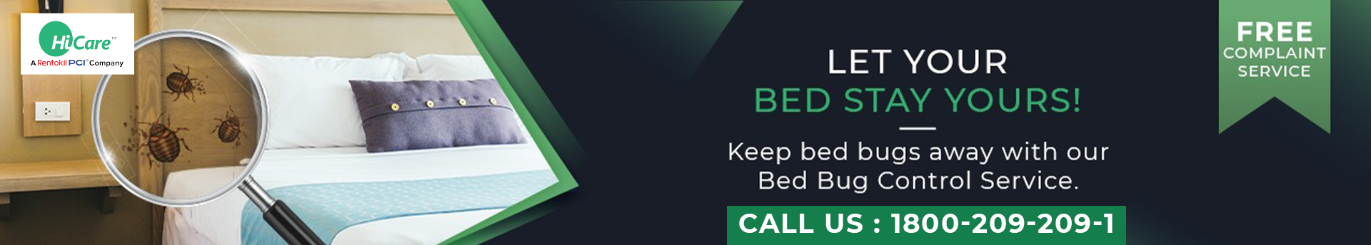 Bed Bugs Pest Control