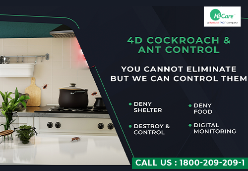 Cockroach Pest Control